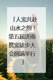 人宠共赴山水之约！第五届济南携宠徒步大会圆满举行