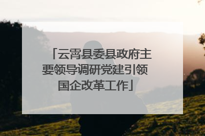 云霄县委县政府主要领导调研党建引领国企改革工作