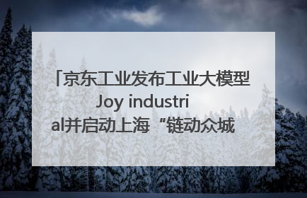 京东工业发布工业大模型Joy industrial并启动上海“链动众城 万亿降本”计划