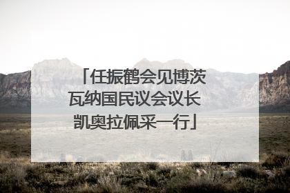 任振鹤会见博茨瓦纳国民议会议长凯奥拉佩采一行