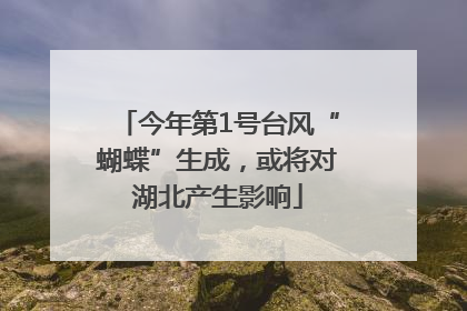 今年第1号台风“蝴蝶”生成，或将对湖北产生影响
