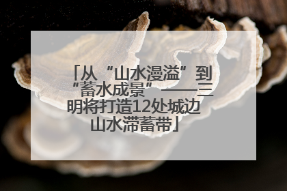 从“山水漫溢”到“蓄水成景”——三明将打造12处城边山水滞蓄带