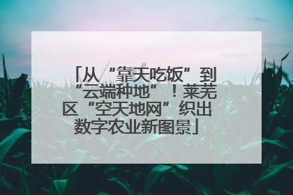 从“靠天吃饭”到“云端种地”！莱芜区“空天地网”织出数字农业新图景