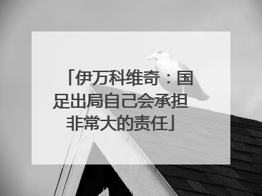 伊万科维奇：国足出局自己会承担非常大的责任