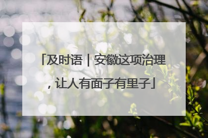 及时语｜安徽这项治理，让人有面子有里子