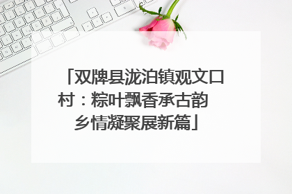 双牌县泷泊镇观文口村：粽叶飘香承古韵 乡情凝聚展新篇