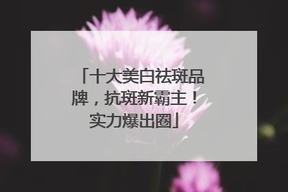 十大美白祛斑品牌，抗斑新霸主！实力爆出圈