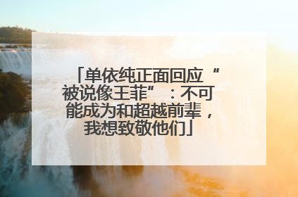 单依纯正面回应“被说像王菲”：不可能成为和超越前辈，我想致敬他们