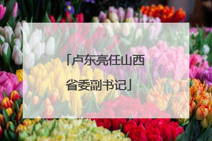 卢东亮任山西省委副书记