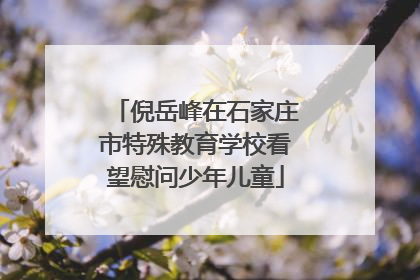 倪岳峰在石家庄市特殊教育学校看望慰问少年儿童