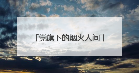 党旗下的烟火人间丨“蜂巢型”网格织就覆盖全城“暖心网”