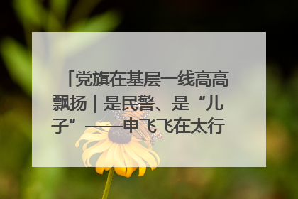 党旗在基层一线高高飘扬｜是民警、是“儿子”——申飞飞在太行山中的一线坚守
