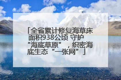 全省累计修复海草床面积938公顷 守护“海底草原”，织密海底生态“一张网”