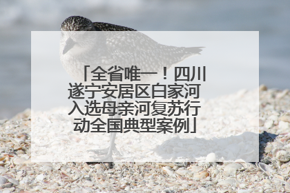 全省唯一！四川遂宁安居区白家河入选母亲河复苏行动全国典型案例