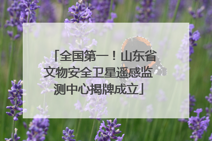全国第一！山东省文物安全卫星遥感监测中心揭牌成立