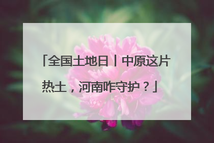 全国土地日丨中原这片热土，河南咋守护？