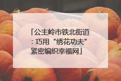 公主岭市铁北街道：巧用“绣花功夫”紧密编织幸福网