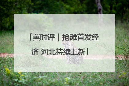 冀时评｜抢滩首发经济 河北持续上新
