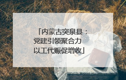 内蒙古突泉县：党建引领聚合力 以工代赈促增收