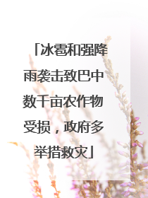 冰雹和强降雨袭击致巴中数千亩农作物受损，政府多举措救灾