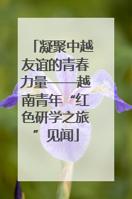 凝聚中越友谊的青春力量——越南青年“红色研学之旅”见闻