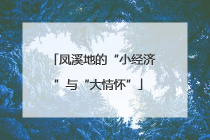 凤溪地的“小经济”与“大情怀”
