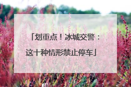 划重点！冰城交警：这十种情形禁止停车