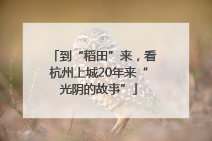 到“稻田”来，看杭州上城20年来“光阴的故事”