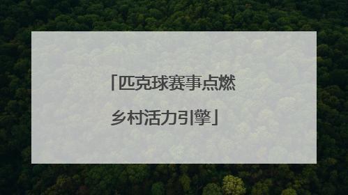 匹克球赛事点燃乡村活力引擎