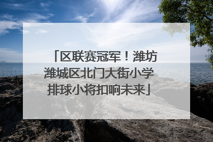 区联赛冠军！潍坊潍城区北门大街小学排球小将扣响未来