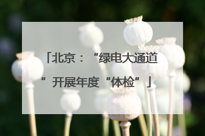 北京：“绿电大通道”开展年度“体检”