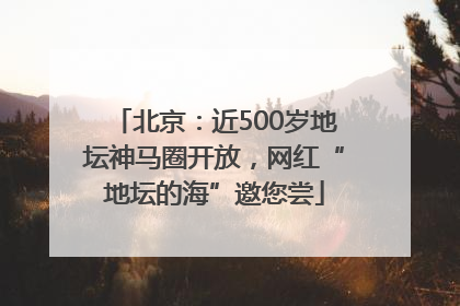 北京：近500岁地坛神马圈开放，网红“地坛的海”邀您尝