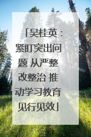 吴桂英：紧盯突出问题 从严整改整治 推动学习教育见行见效