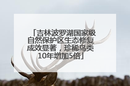 吉林波罗湖国家级自然保护区生态修复成效显著，珍稀鸟类10年增加5倍