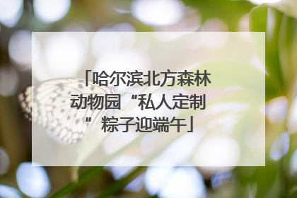 哈尔滨北方森林动物园“私人定制”粽子迎端午