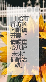 哈市香坊区向阳镇开展“情暖童心共护未来”捐赠活动