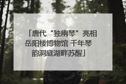 唐代“独幽琴”亮相岳阳楼博物馆 千年琴韵洞庭湖畔苏醒