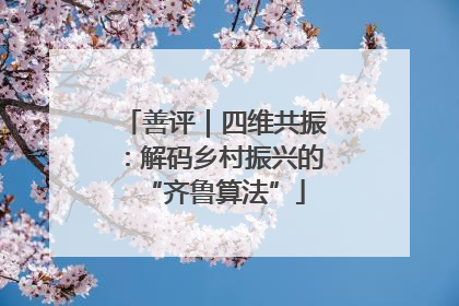 善评｜四维共振：解码乡村振兴的“齐鲁算法”