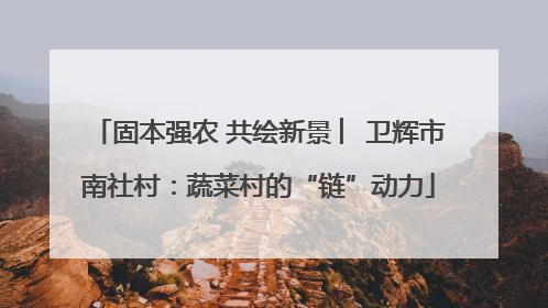 固本强农 共绘新景 ︳卫辉市南社村：蔬菜村的“链”动力