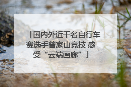 国内外近千名自行车赛选手曾家山竞技 感受“云端画廊”