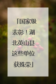 国家级表彰！湖北英山县这些单位获殊荣