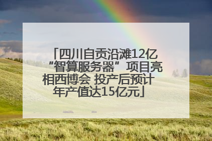 四川自贡沿滩12亿“智算服务器”项目亮相西博会 投产后预计年产值达15亿元