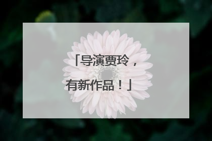 导演贾玲，有新作品！