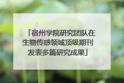 宿州学院研究团队在生物传感领域顶级期刊发表多篇研究成果