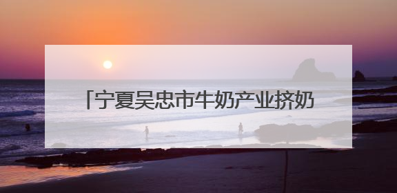 宁夏吴忠市牛奶产业挤奶工劳动和技能大赛举办