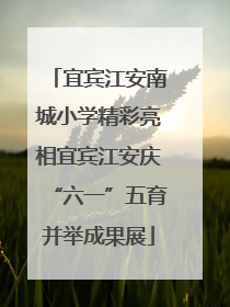 宜宾江安南城小学精彩亮相宜宾江安庆“六一”五育并举成果展