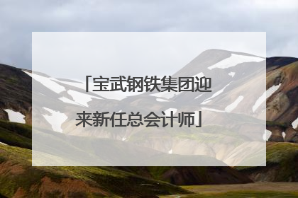 宝武钢铁集团迎来新任总会计师