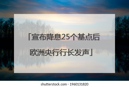 宣布降息25个基点后 欧洲央行行长发声