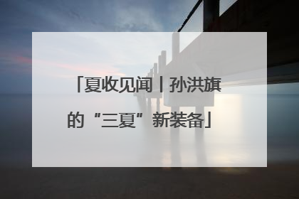 夏收见闻丨孙洪旗的“三夏”新装备