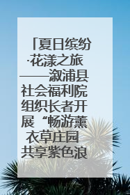 夏日缤纷·花漾之旅——溆浦县社会福利院组织长者开展“畅游薰衣草庄园 共享紫色浪漫”户外活动